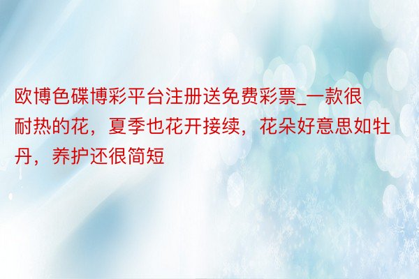 欧博色碟博彩平台注册送免费彩票_一款很耐热的花，夏季也花开接续，花朵好意思如牡丹，养护还很简短